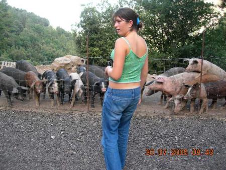 cassandre